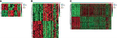 Identification of circRNA–miRNA–Immune-Related mRNA Regulatory Network in Gastric Cancer